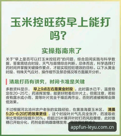 《乐鱼体育平台官网更新实操指南：入口导航与账号安全的深度解析》